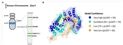 Targeting PRAME for acute myeloid leukemia therapy